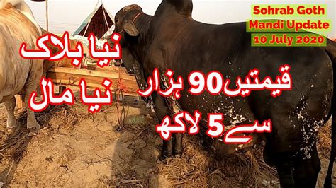 Cattle Prices Sohrab Goth Maweshi Mandi Youtube