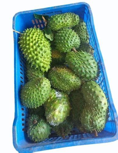 A Grade Graviola Fruit, Packaging Size: 5 Kg at Rs 250/kg in Chennai ...