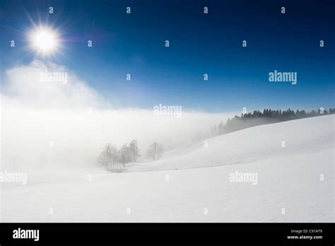 Winter Scenery St Margen Black Forest Baden Wurttemberg Germany