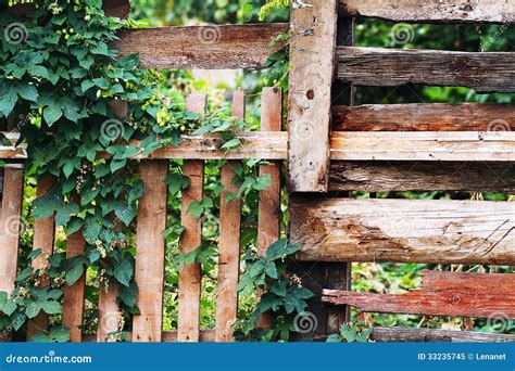 Plant Over Wood Fence Stock Image Image Of Meadow Fresh 33235745