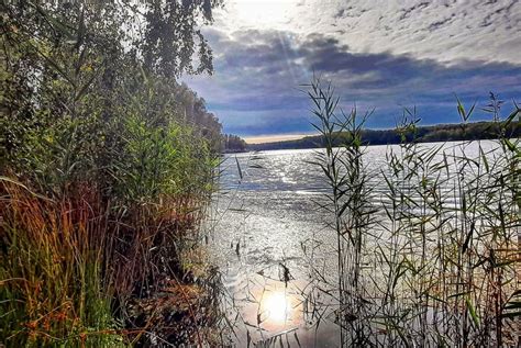 Wandern Rund Um Den Bergwitzsee Tour 177935