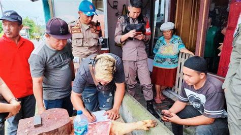 Terkait Video Viral Pedagang Yang Ditertibkan Di Kawangkoan Begini