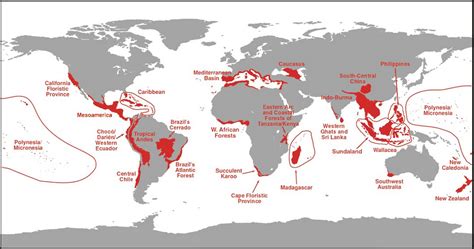 “hotspots” De Biodiversidad ¿qué Son Y Por Qué Son Tan Importantes