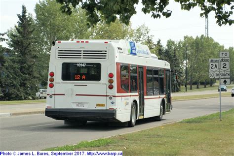 Red Deer Transit