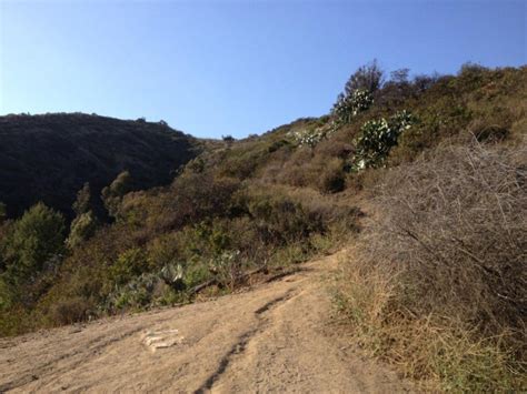 Hiking Runyon Canyon Park - SoCal Hiker