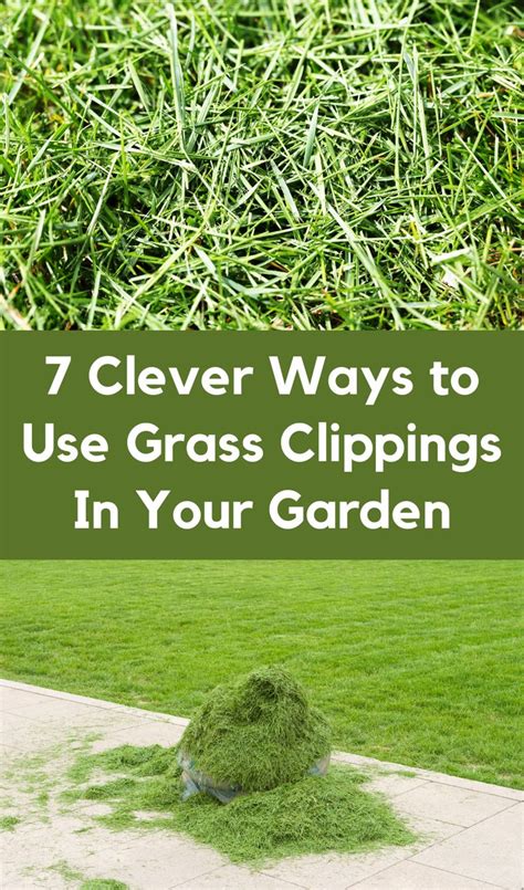 7 Clever Ways To Use Grass Clippings In Your Garden Grass Clippings