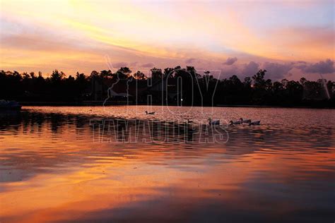 Hoy Tamaulipas Foto Del Dia Hermoso Atardecer