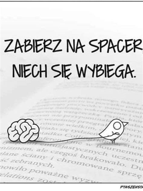 Śmiejmy się to potężna broń Ratujcie dupy na twarze za późno