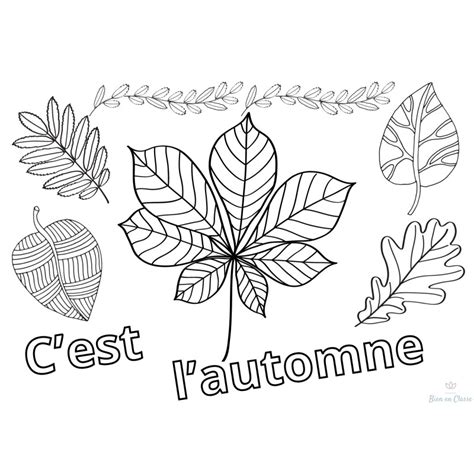 Coloriages Automne 1