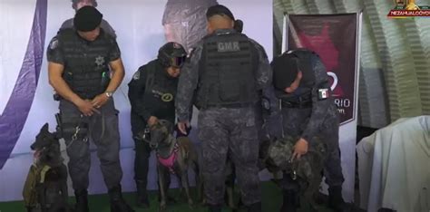 Nezahualcóyotl Sueltan a los K9 para Mochila Segura