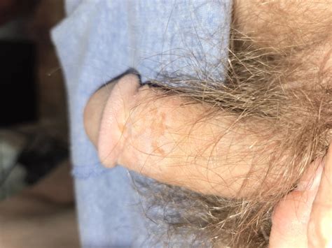 Denim American Gay Amateur Amateur Porn XHamster