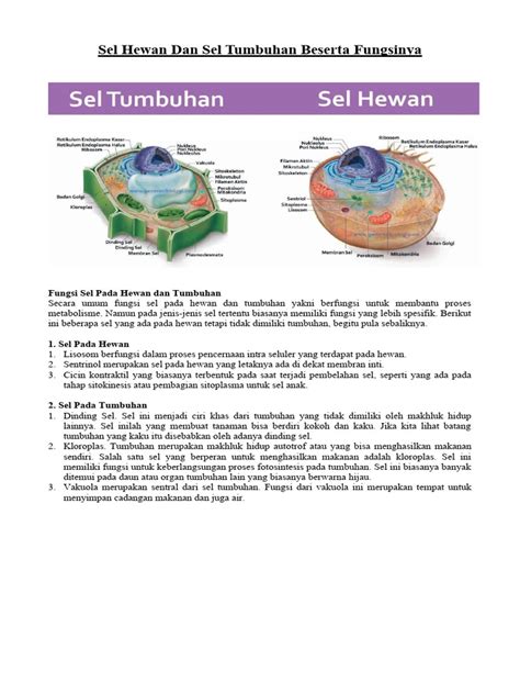 fungsi sel hewan  tumbuhan