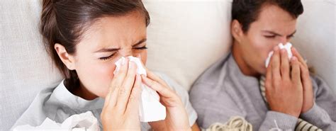 Hay Fever Allergic Rhinitis Treatment In Nyc New York Ent