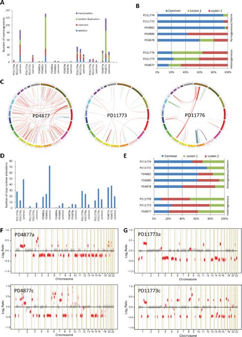 Genome Wide Alterations Bar Plots Showing The Distribution And The