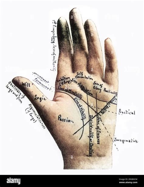 Palmistry Chart Meanings