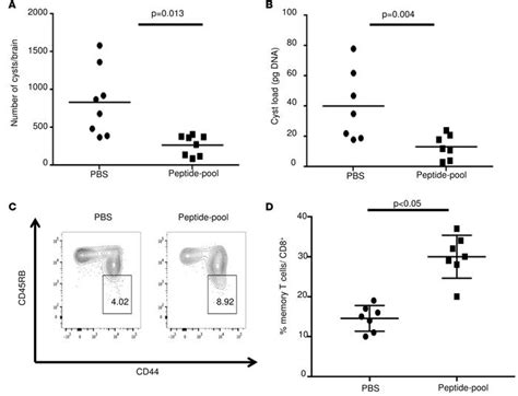 Jci Insight Adjuvanted Multi Epitope Vaccines Protect Hla A1101