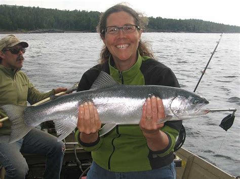 Fish Caught Lake Superior Unique Fish Photo