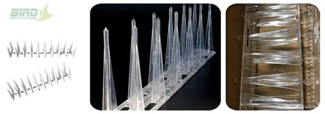 Plastic Anti-Bird Spikes to Prevent Bird Infestation - Bird Spike Control