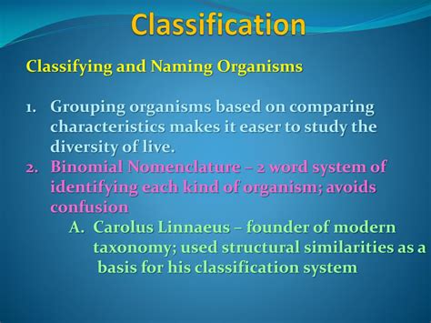 Ppt Classification Powerpoint Presentation Free Download Id2003519