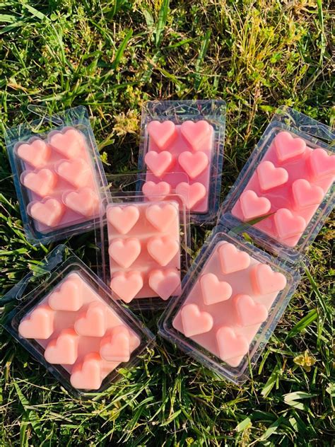 Handmade Wax Melts Tropical Scent Heart Shaped Wax Melts Etsy