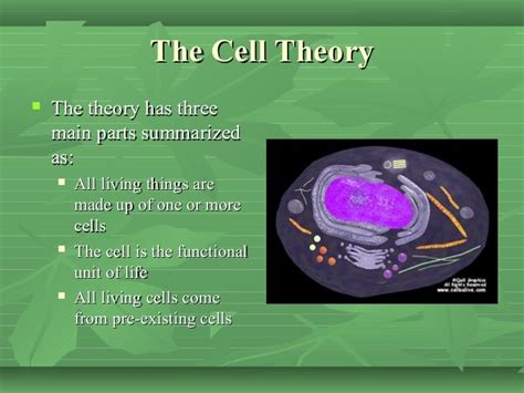 The Cell Factory Ppt