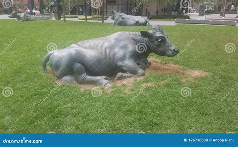 Td Cows Toronto Downtown Statue Editorial Image Image Of Cows Statue 126736680