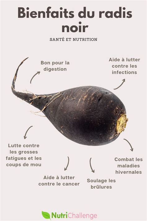 Bienfaits Du Radis Noir En Bienfait Du Radis Noir Drainer Le