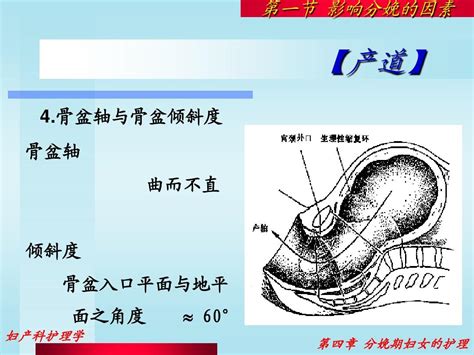 分娩期妇女的护理 Word文档在线阅读与下载 无忧文档