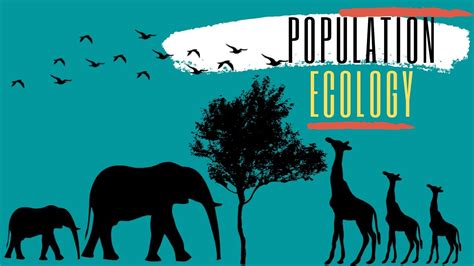 An Introductory Overview Of Population Ecology Ecology Series Episode 03 Youtube