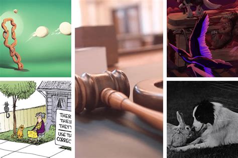 sequitur  writing definition impact