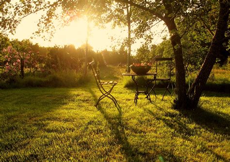 Summer Evening In The Garden Garden View Relax Time Night Garden