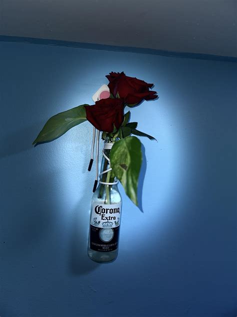 Successful Release - Do you love working on your car? Better yet, if