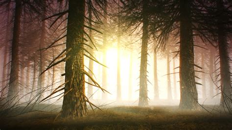 Spooky Forest. 3d Animated Background Stock Footage Video 3460979 ...