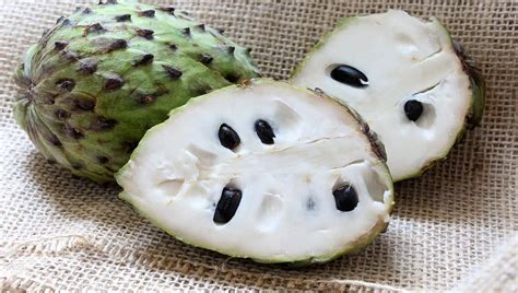 Atemoia E Fruta Do Conde - Frutas exóticas: conheça a Atemoia (Annona x atemoya), como cultivar ...