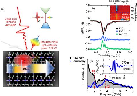 Figure 1 From Coherent Band Edge Oscillations And Dynamic Longitudinal