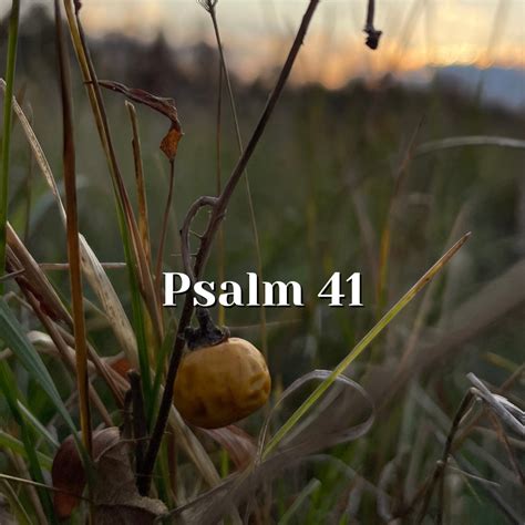 Psalm 41 — Helping The Poor — Reading The Psalms Psalms For Kids©