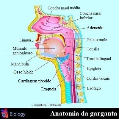 O Que Tem Na Garganta