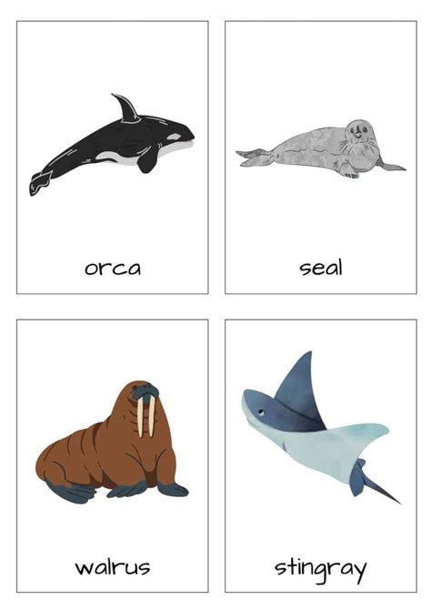 Sea Animals Flashcards For Toddlers FREE Printable - Womanhood And ...