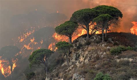 Wildfires Across Southern Europe The Atlantic