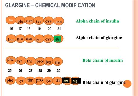 Insulin analogues ppt