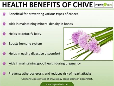 Health Benefits of Chives | Nikki Kuban Minton