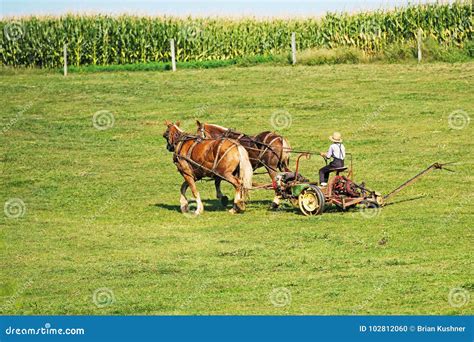 Amish Farming stock photo. Image of religion, amish - 102812060