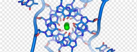 Helix Ganda Laporan Pribadi Penemuan Struktur DNA G Quadruplex Asam