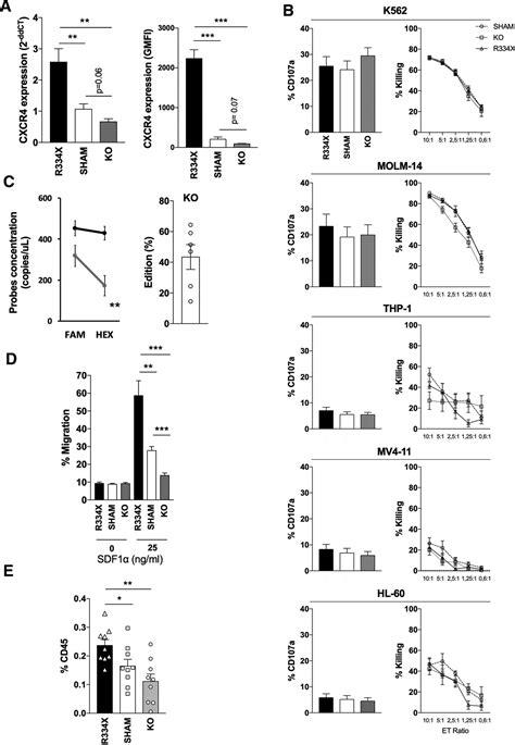 Improved Leukemia Clearance After Adoptive Transfer Of Nk Ce