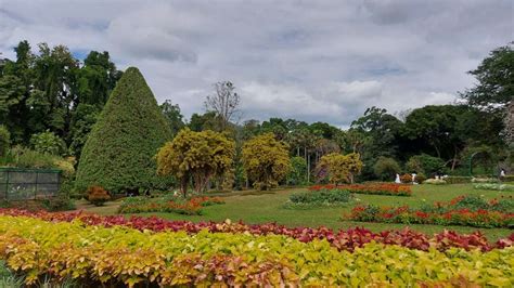 Botanical Garden- Peradeniya | Explore its Diverse Flora