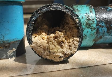 How To Avoid Grease Trap Pipe Clogs From Fat Oils And Grease Greaseco