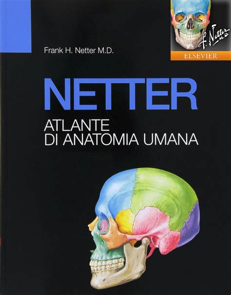 Anatomia Umana Atlante Tascabile 6