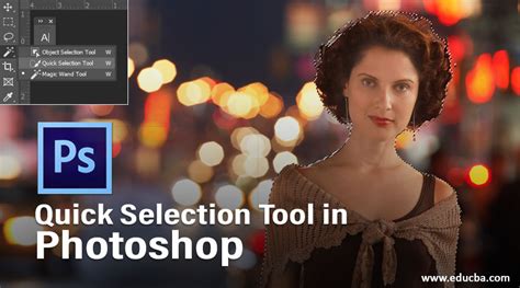 Quick Selection Tool in Photoshop | How to Use the Quick Selection Tool?