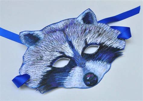 Raccoon Mask