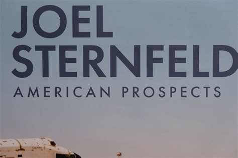 Joel Sternfeld American Prospects 8